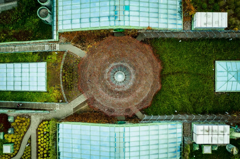 an aerial view of a walkway with a tree in the middle