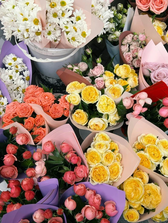 a variety of different colored roses on a table