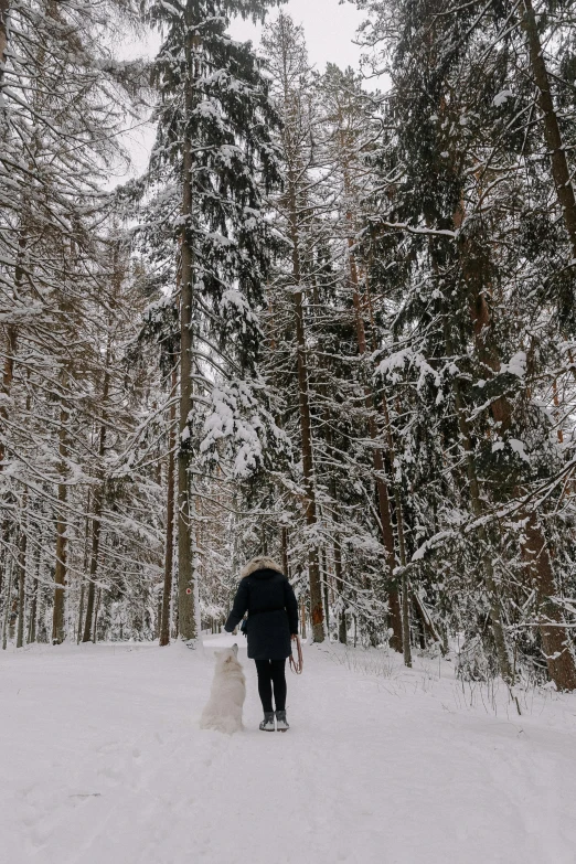 the bride and groom are walking through the snow