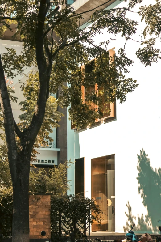 a motorcycle parked outside a building and tree