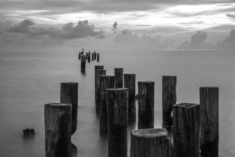 an ocean scene with old dock posts, in the foreground