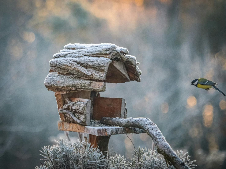 a bird sitting on top of a snow covered bird house