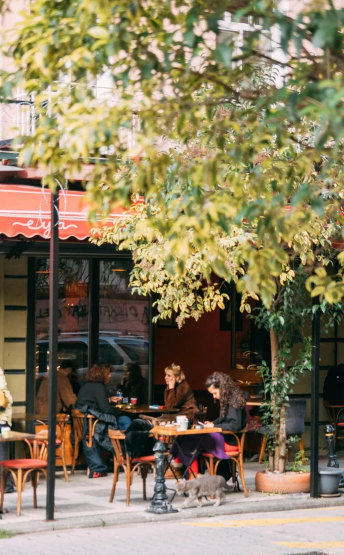 two people sitting at an outdoor cafe table under a tree