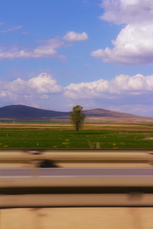 the view from the bus is very scenic