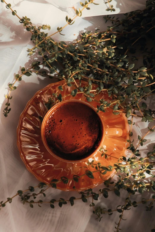 a cup of coffee sits on a saucer near some dried plants
