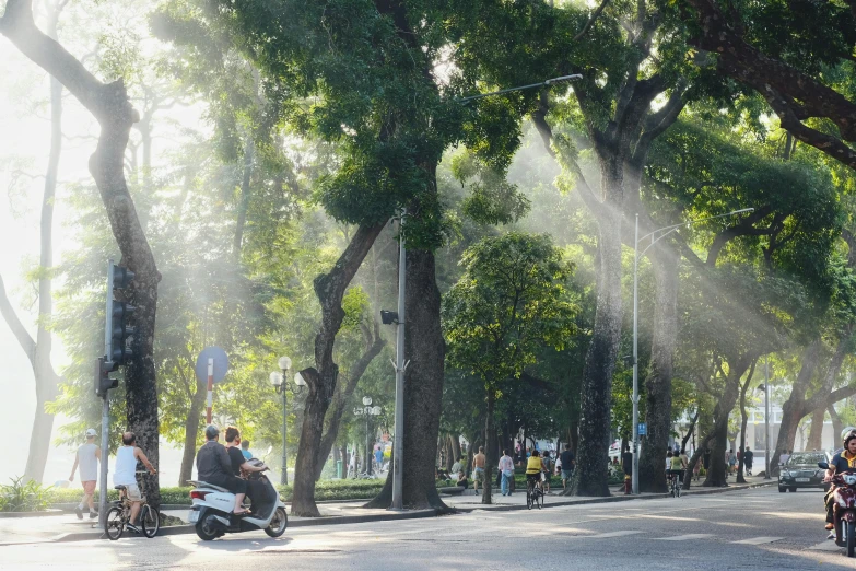 motorbike driving on paved road between trees