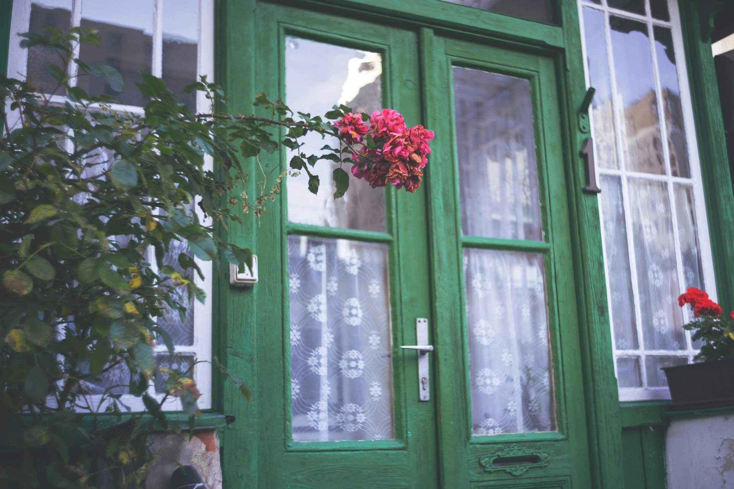 a green door with flowers in the windows