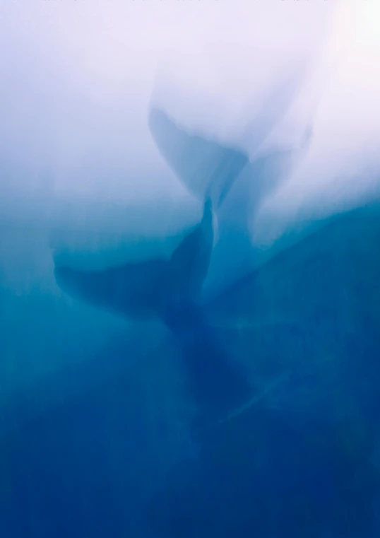 large white bird under blue water in the ocean