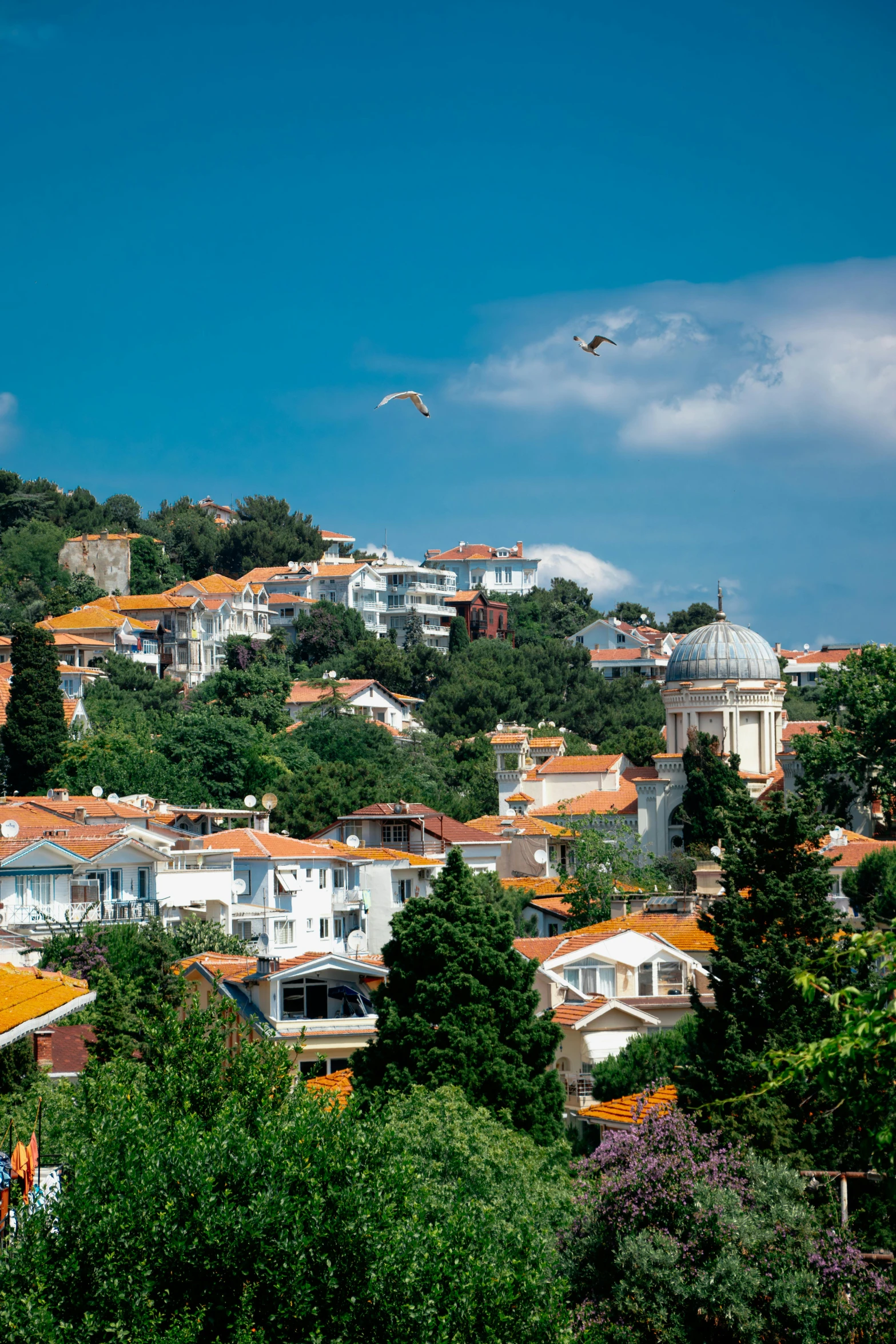 the city is full of houses on top of a hill