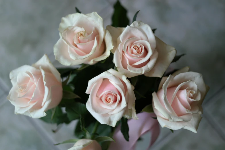 six pink roses in a pink vase