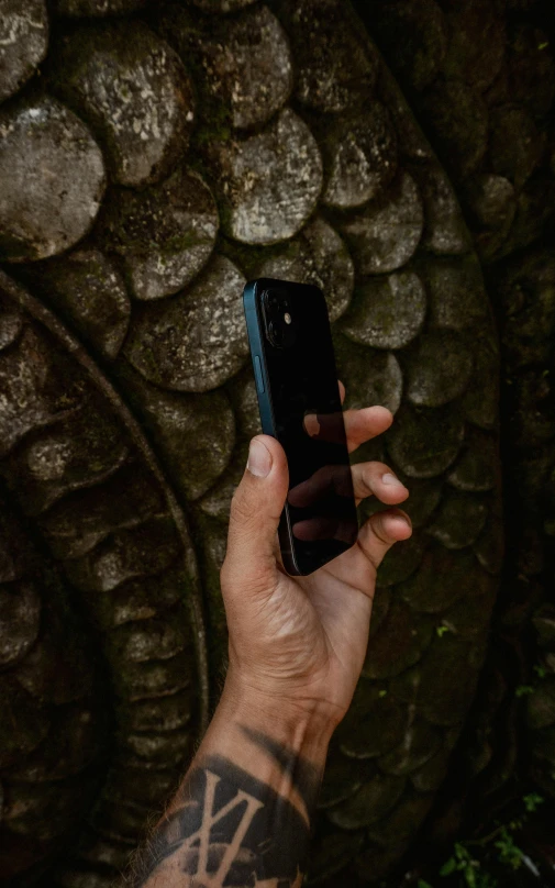 a person holding their phone up in the air