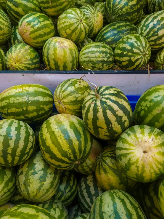 the large display case is filled with watermelons