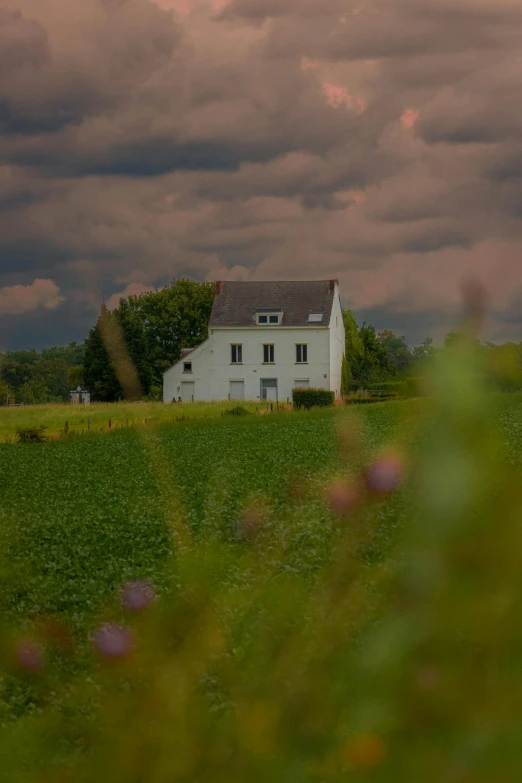 there is a house behind some green grass