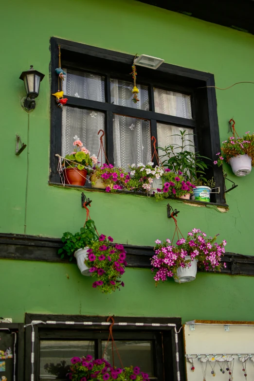 a green building with flowers and plants on the side