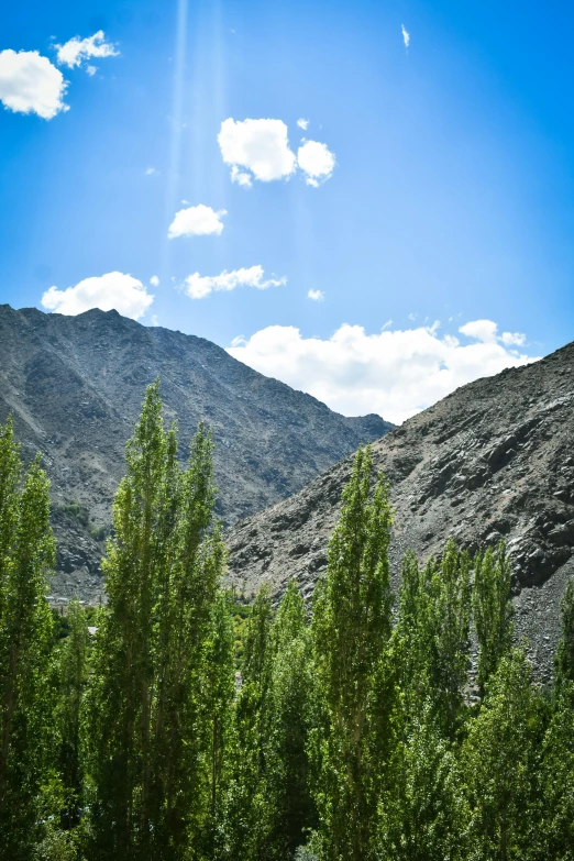 green vegetation and mountain scenery under blue sky