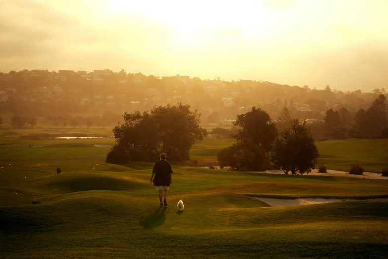 a person with a dog walk across a green field