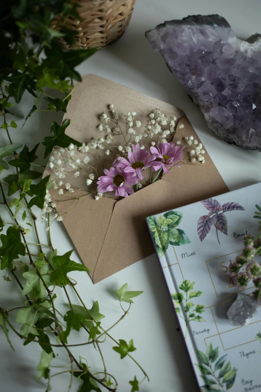 a bunch of purple flowers sitting next to a book