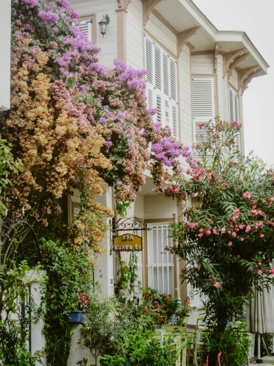 a beautiful house filled with flowers and green plants