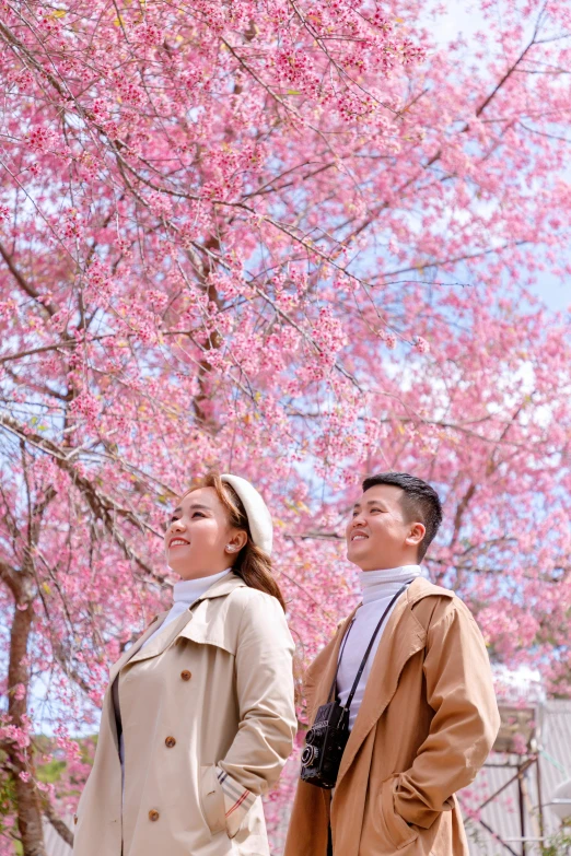 a man and woman are standing under a pink tree