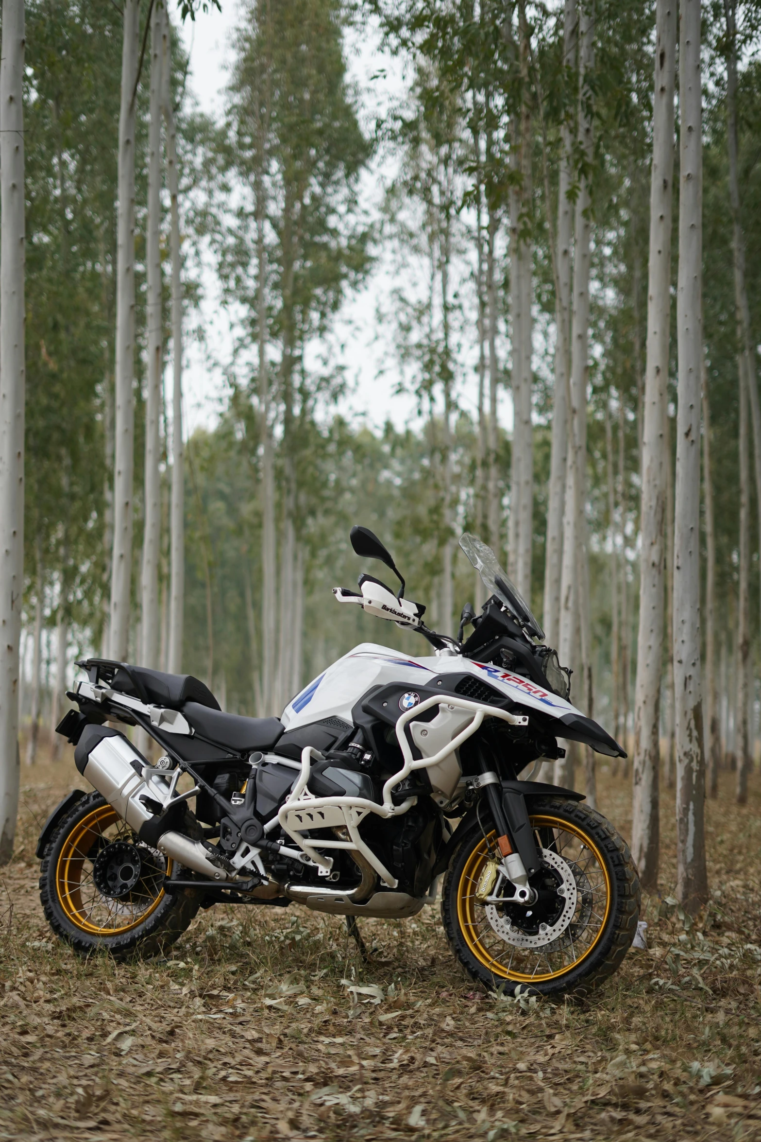 an image of a bike parked next to trees