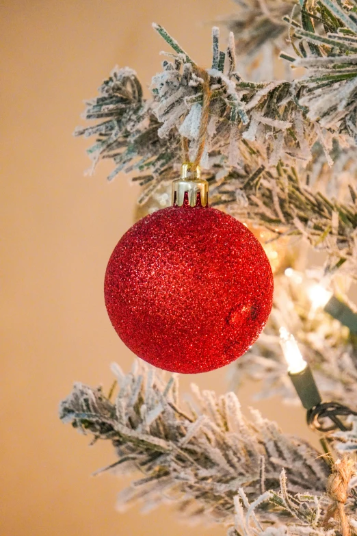 a close up po of a red ball on the christmas tree