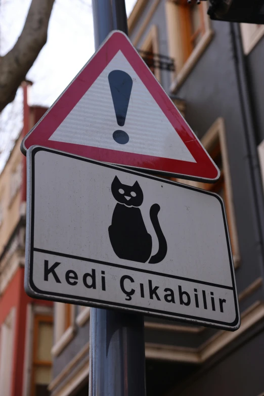 a street sign with a cat under the black cat