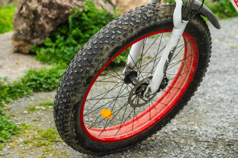 a bicycle tire with spokes sits on a gravel path