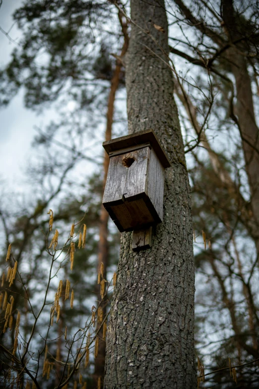 a small bird house sitting on a tree