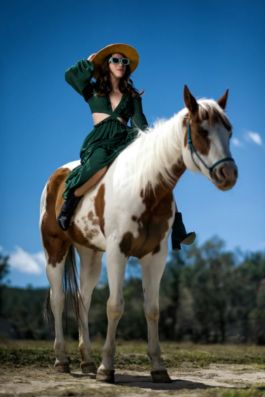 the woman is posing on the horse in the grass