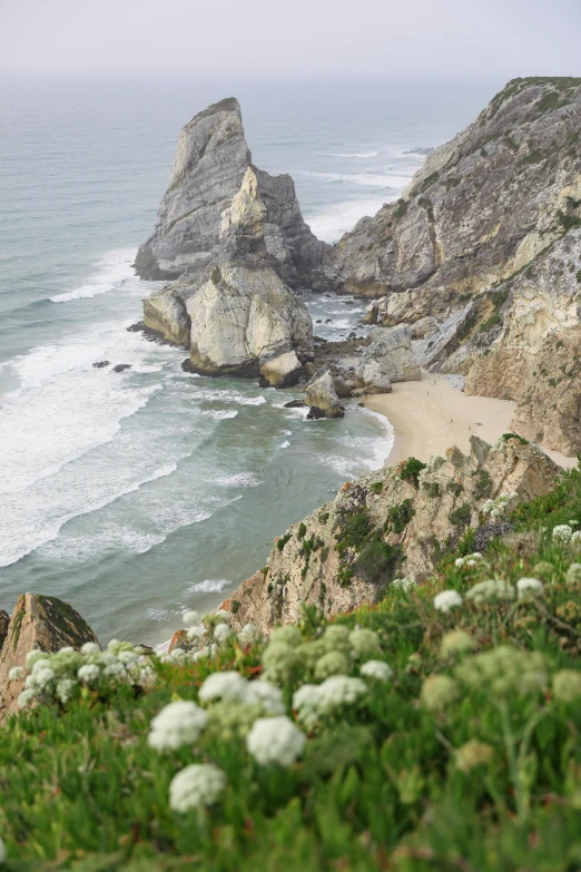 a beach with some plants and rocks near by