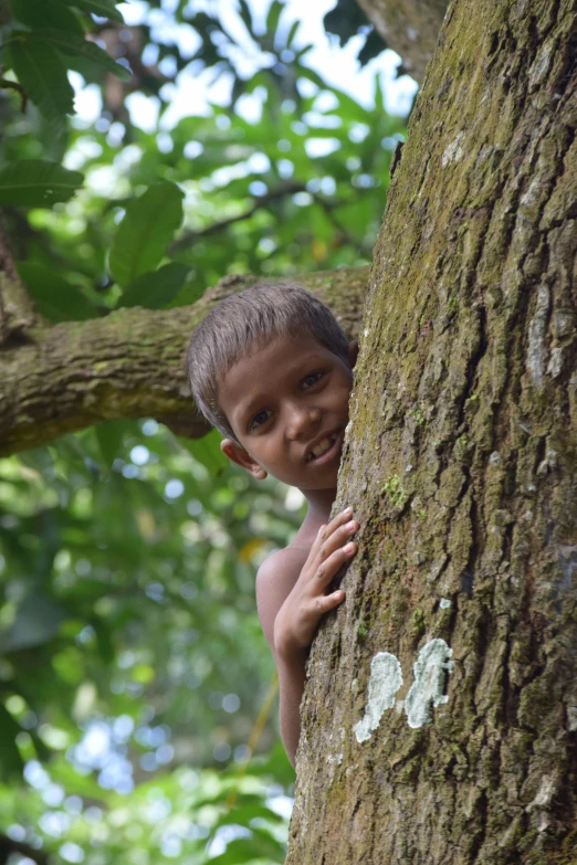 a  with his hands on a tree trunk