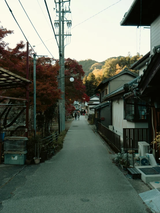 a road with lots of houses in front of it