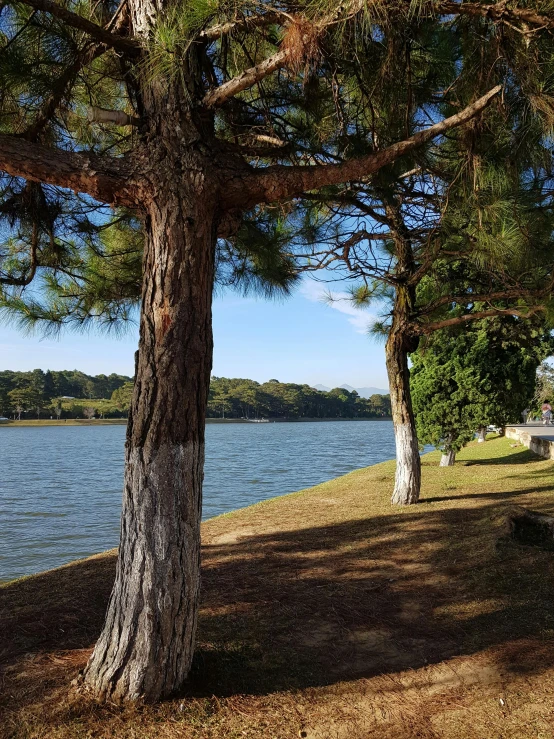 an area next to the water with benches