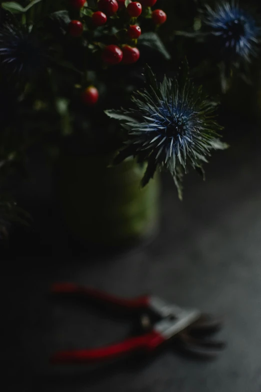 a close up of a pair of pliers on the ground