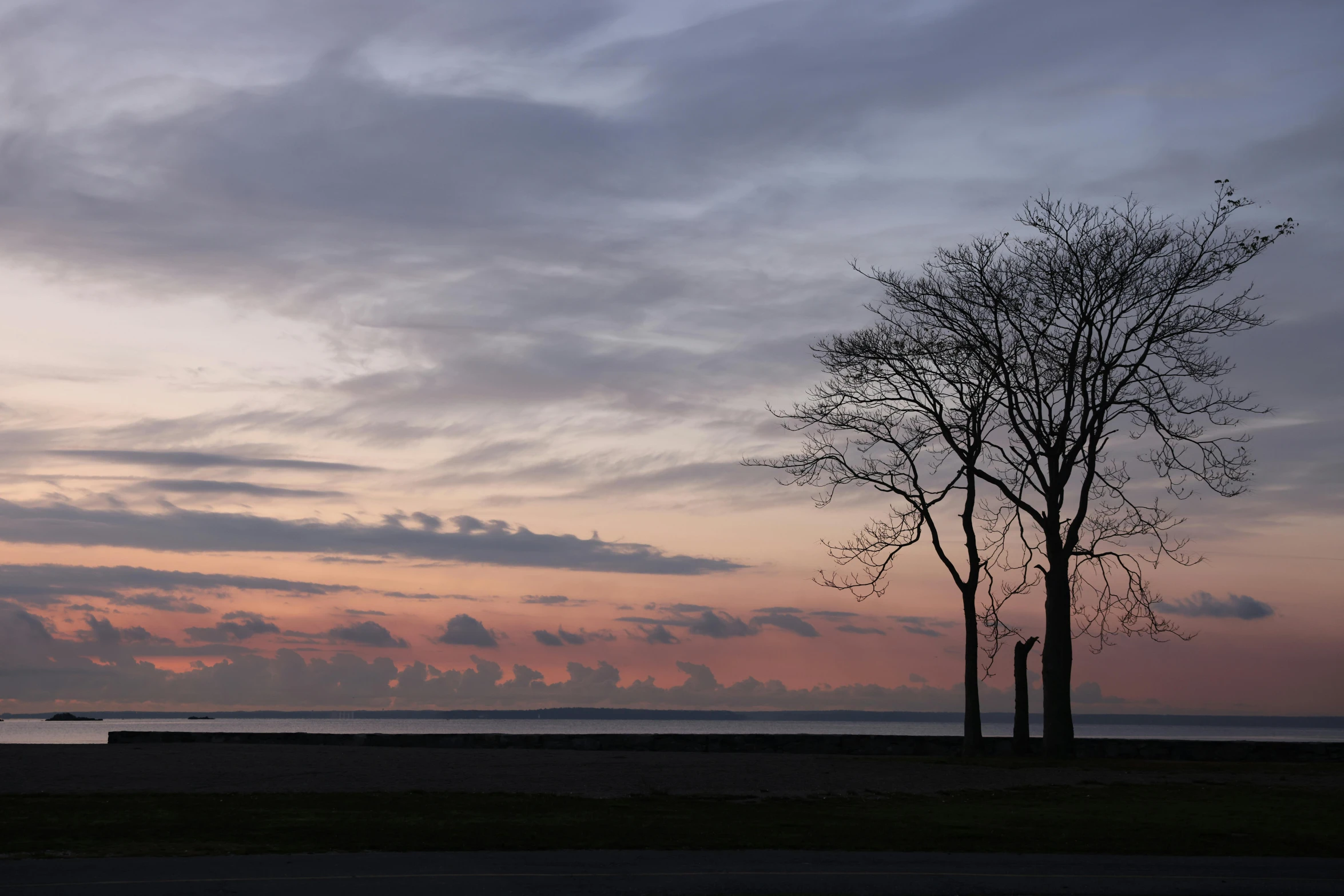 two tree silhouettes against an orange, pink and blue sky