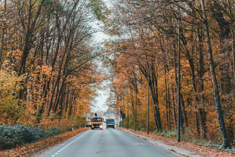 a truck drives down a road surrounded by autumn foliage