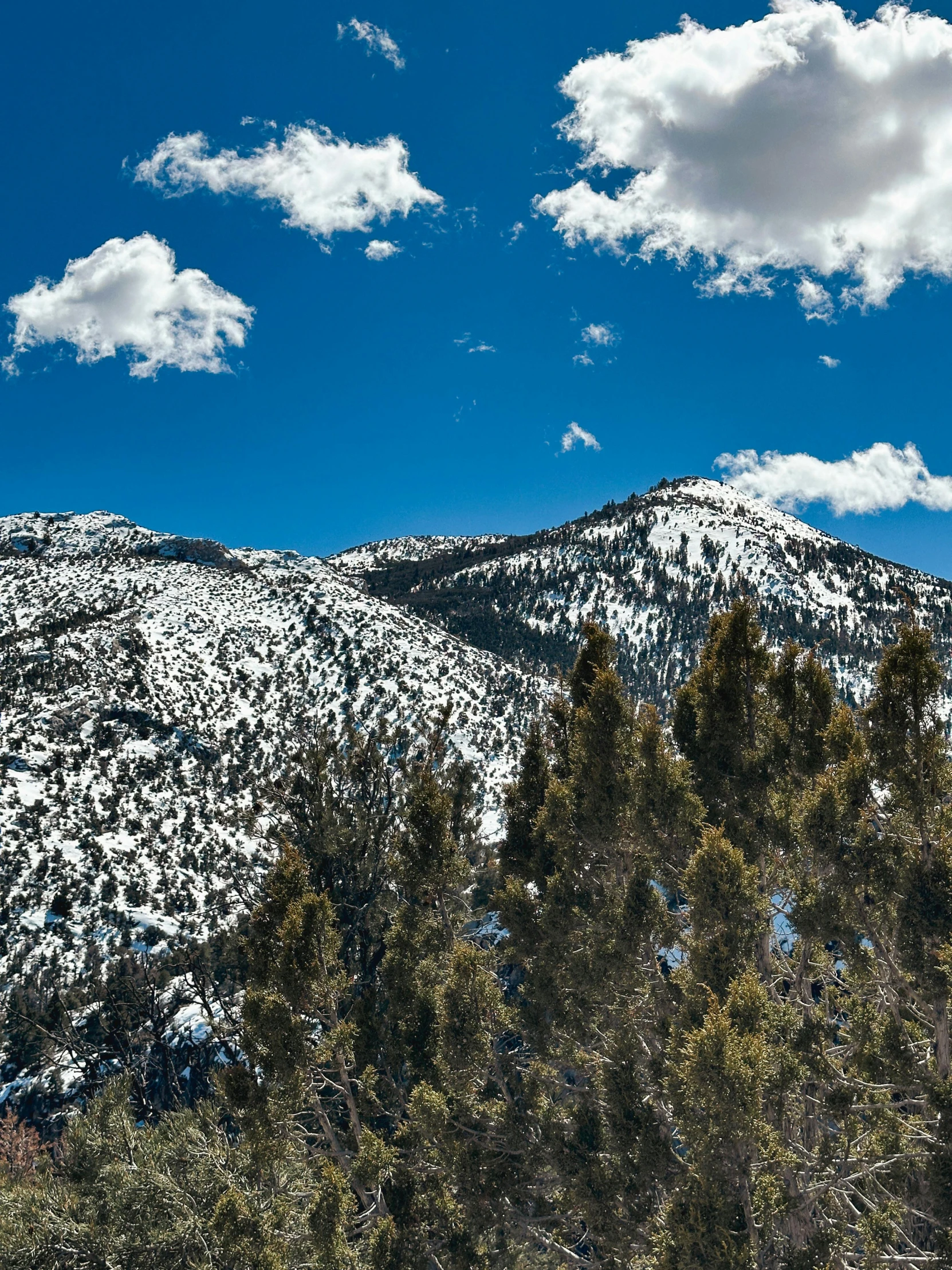 a picture of the mountains that look like it's in snow