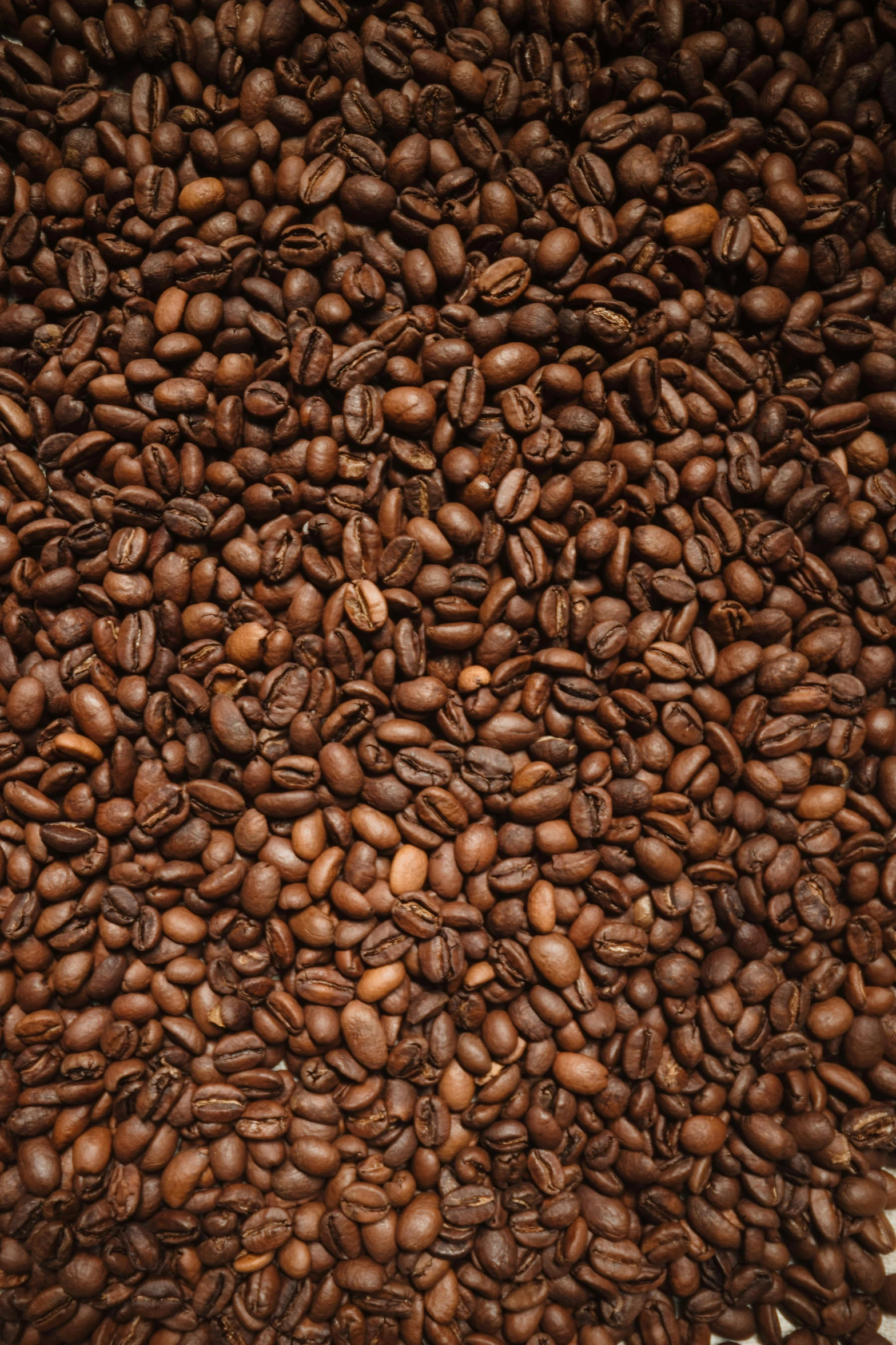 coffee beans spread over a paper napkin