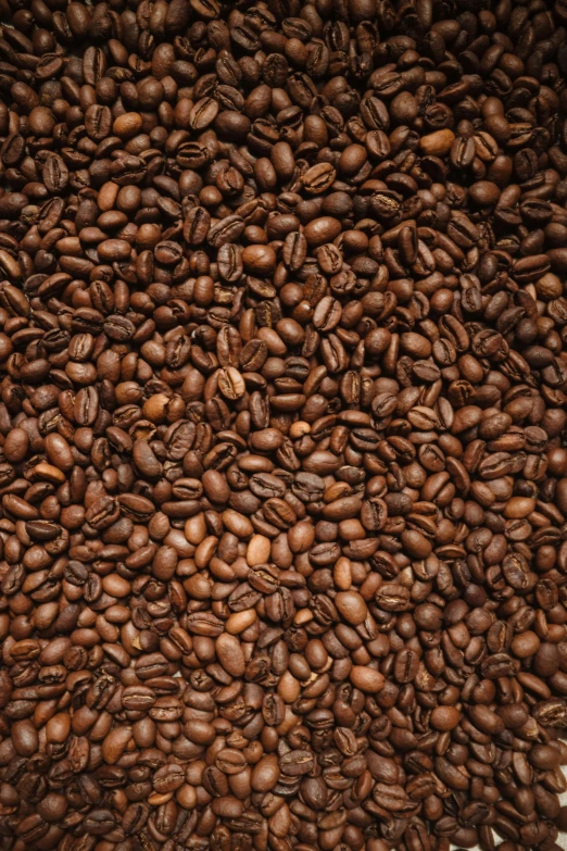 coffee beans spread over a paper napkin