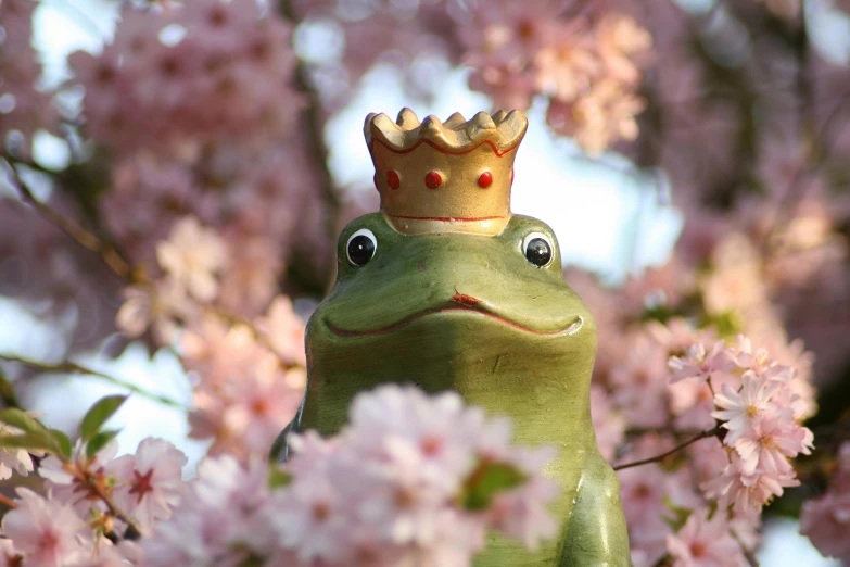 a frog with a crown sitting in a blossoming tree