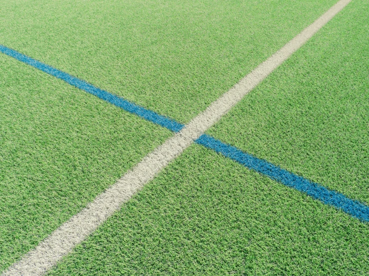 a grass court with a white line and blue strip
