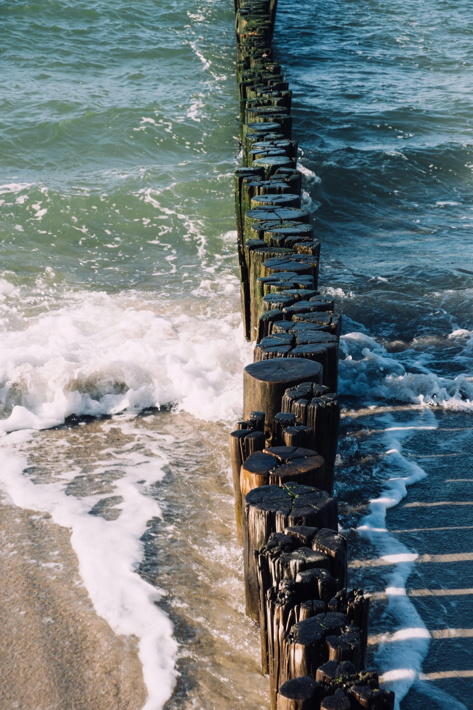 some water that is next to the shore and some wooden posts