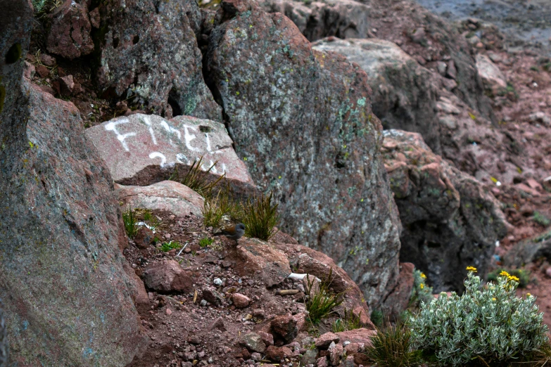 a bunch of rocks with some writing on them