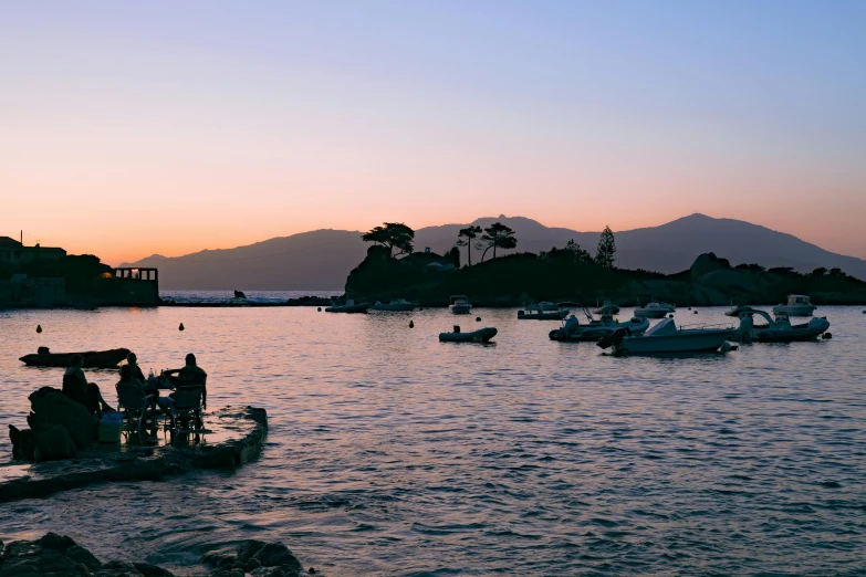 boats in the harbor at sunset with palm trees