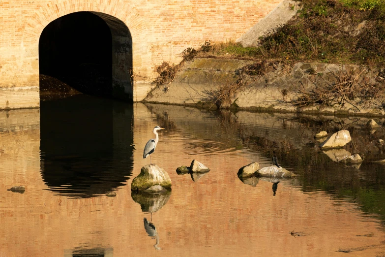 a water way that has some birds on it