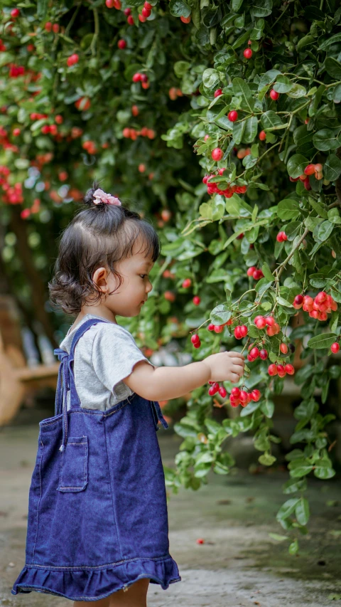 a little girl wearing an apron reaches down for berries