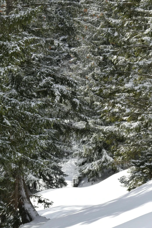 a person skiing down the side of a ski slope