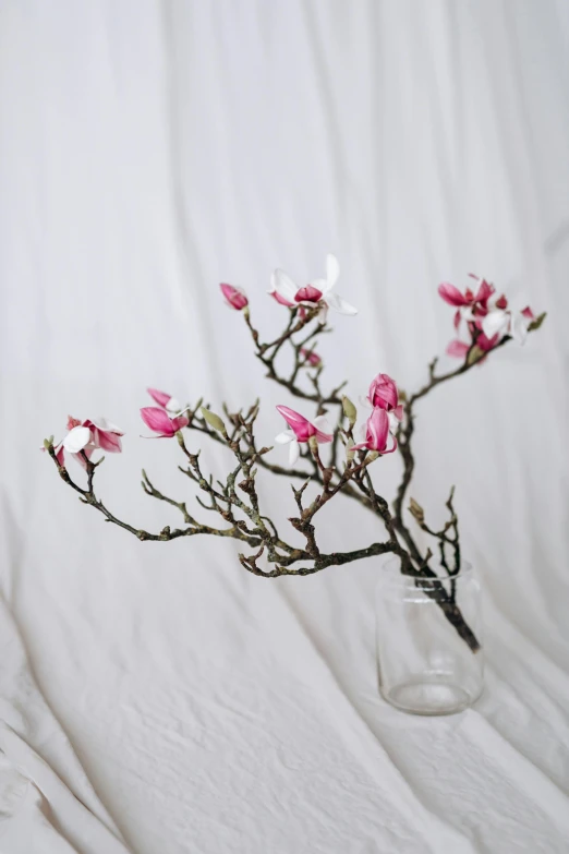 some small pink flowers sitting in a glass vase