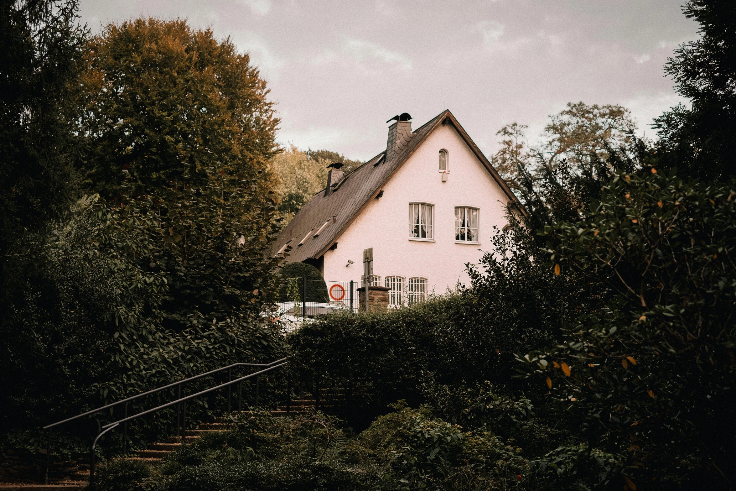 a white house sitting next to a forest filled with trees