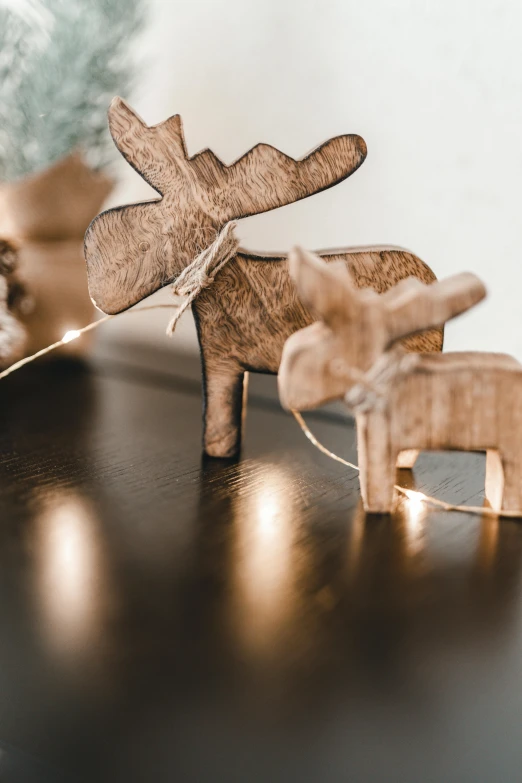 there are two wooden pieces of toys on the table